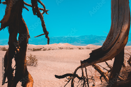 Mesquite Flat Dunes