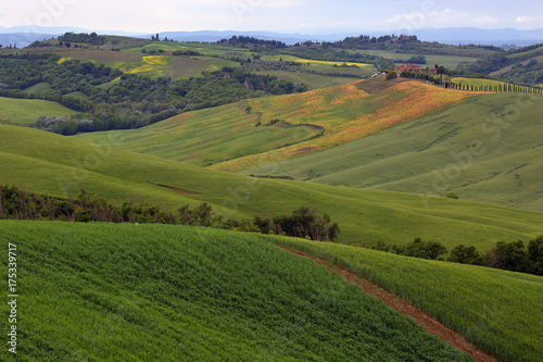 Tuscany farmland hill fields in Italy