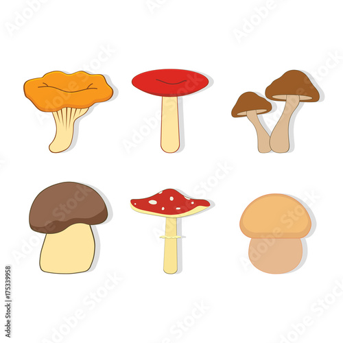 set with mushrooms