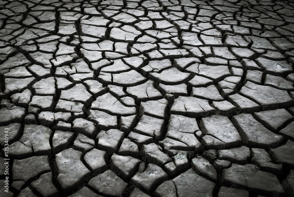 Dry soil Dry soil
