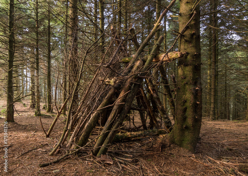 A makeshift hiking hut of branches, in a green forest, temporary shelter to stay safe in the bad weather, on a hike in the woods.