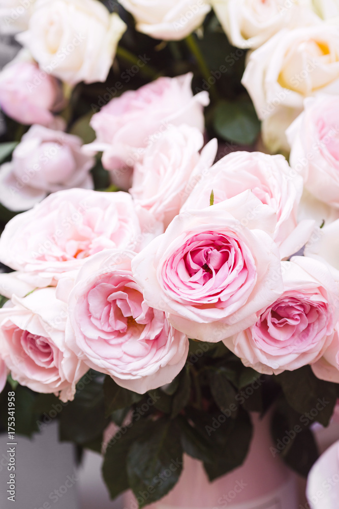 Pink roses on a flower market Pink roses on a flower market