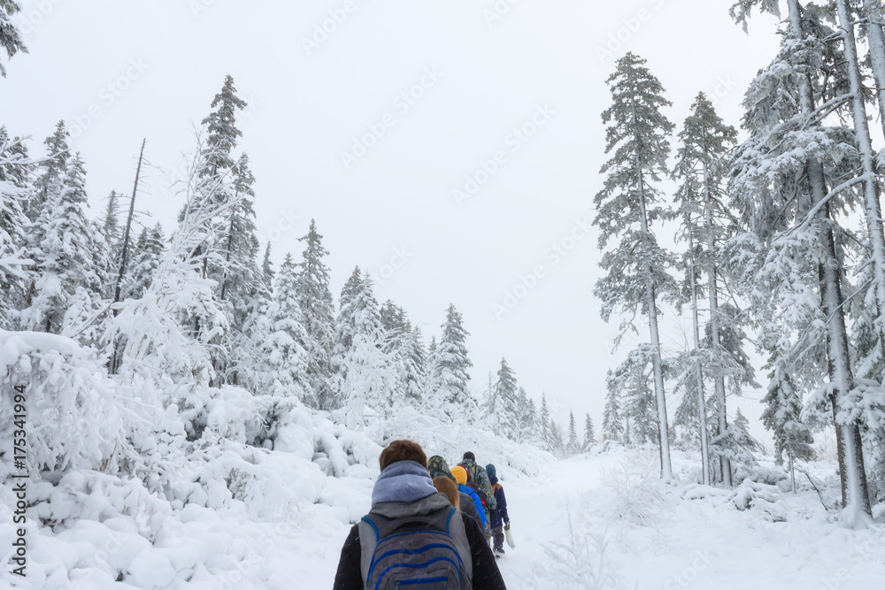 Group of some people on winter hike in mountains, backpackers walking on snowy forest