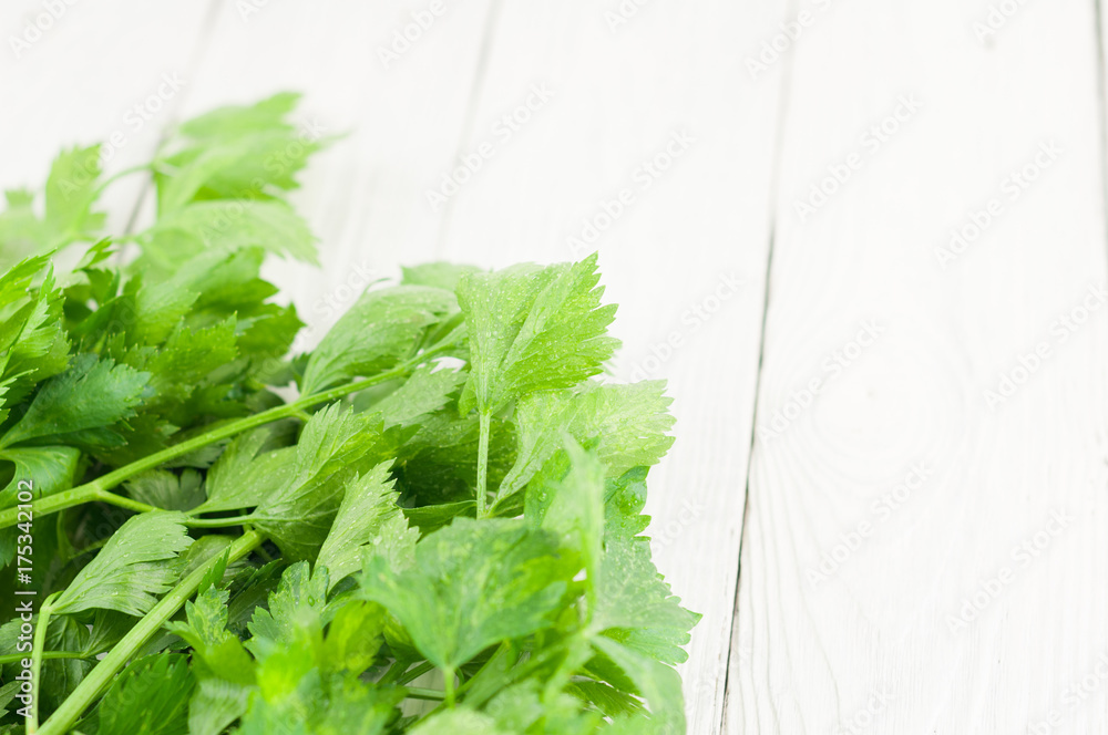 Fototapeta premium Heap of green fresh raw celery on old wooden white rustic planks
