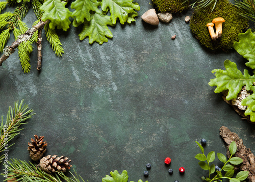 Different green tree branches, berries and mushrooms making frame. Concept for holidays in countryside and camping. photo