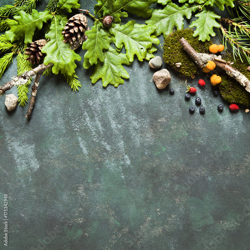 Different green tree branches, berries and mushrooms making frame. Concept for holidays in countryside and camping. photo