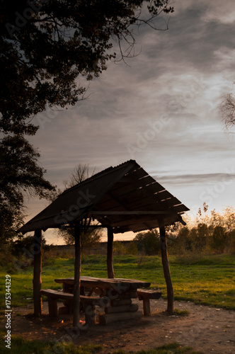wood shelter in the forest in the evening