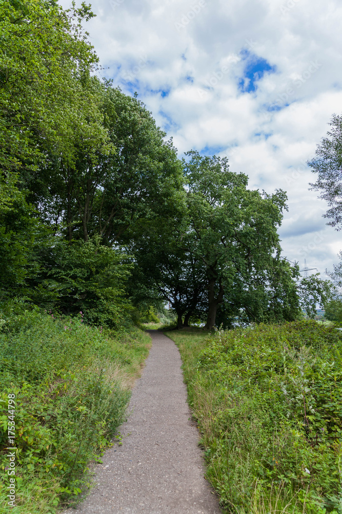 Path forest