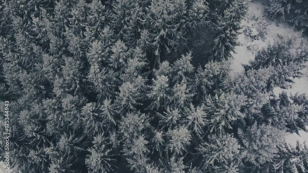 Aerial view of road in coniferous forest in winter. Aerial view of road in coniferous forest in winter.