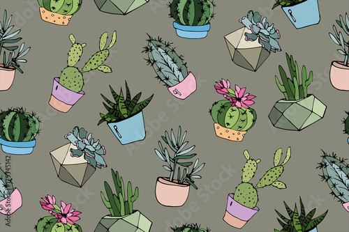 collection of cacti and succulents in modern pots
