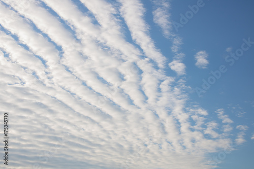 Altocumulus stratiformis undulatus clouds