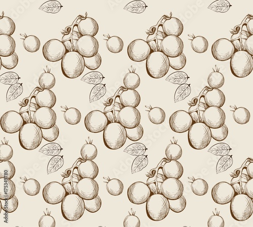 Cherry tomatoes Vector hand drawn line art. Graphic style illustrations