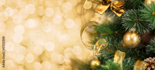 Christmas tree branch with ...