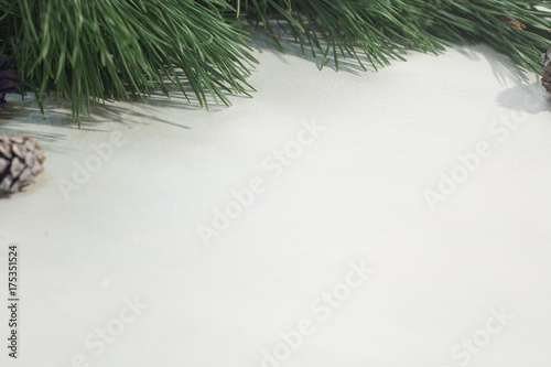 Winter background of holiday decoration. Close up of pine branch with strobila on white backdrop, free space. Christmas greeting, celebration and New Year festive decor concept © golubovy