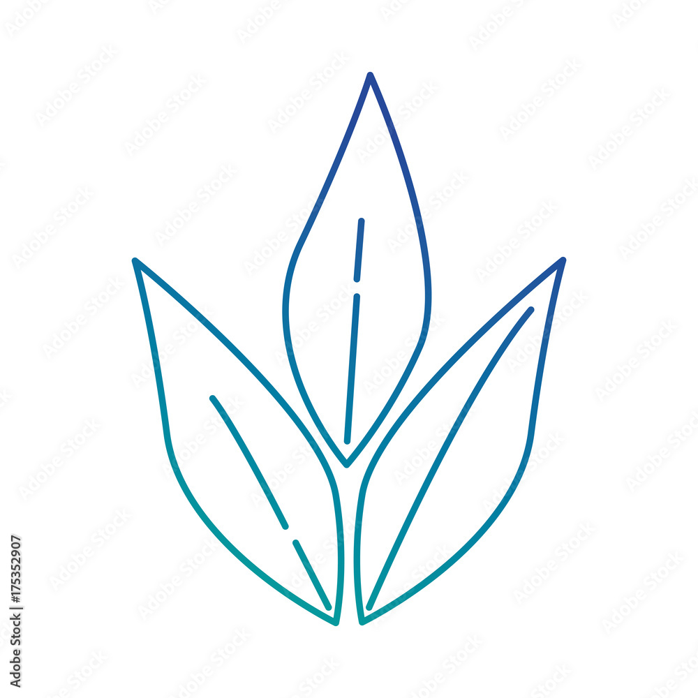 olive branch isolated icon olive branch isolated icon