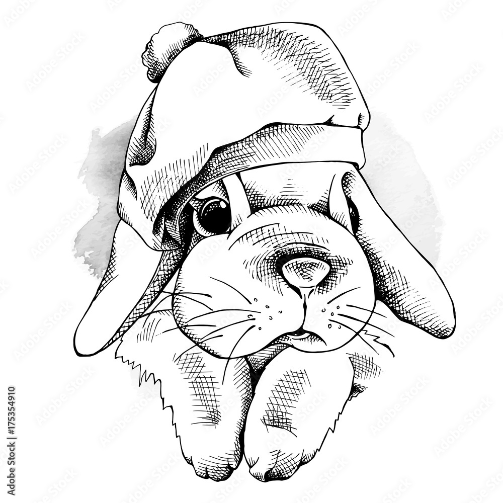 Naklejka premium The image of the small rabbit in the beret hat. Vector illustration.