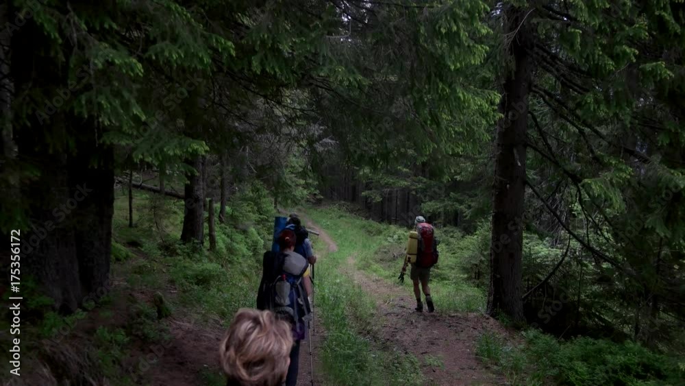 POV point of view walking along hiking mountain trail path, People Footsteps View, Tourists, Hiking in Mountains POV point of view walking along hiking mountain trail path, People Footsteps View, Tourists, Hiking in Mountains