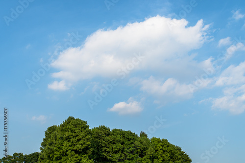 夏の公園と青空と雲