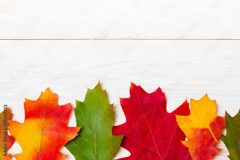 Autumn leaves over white wooden background with copy space. Autumn leaves over white wooden background with copy space.