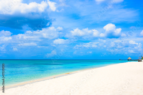 Fototapeta Naklejka Na Ścianę i Meble -  paradise tropical beach palm Caribbean Dominican Republic