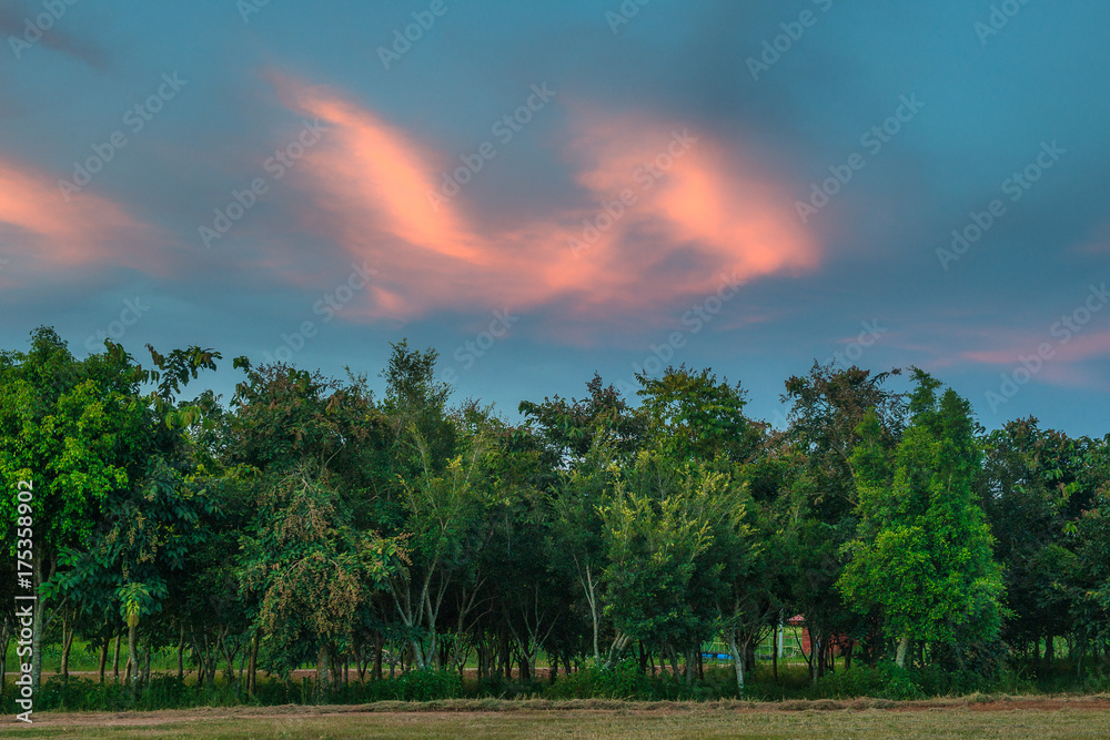Obraz premium Beautiful colorful sunset