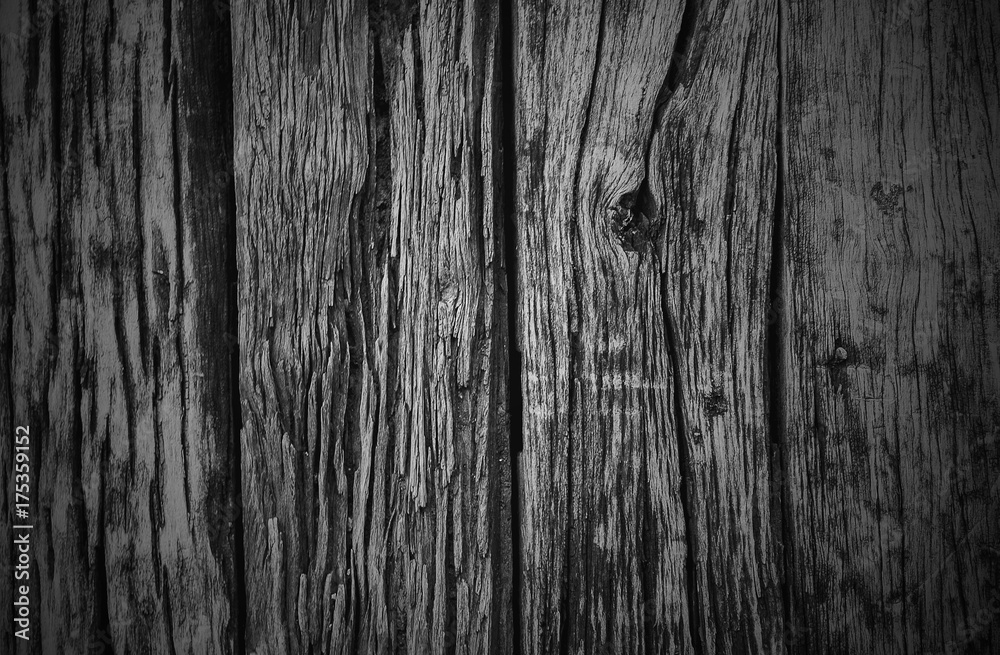 Fototapeta premium Wooden Background Texture, Black and white texture background