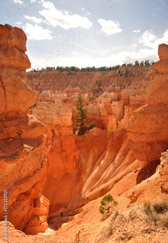 Orange Cliff and Hoodoos in Bryce Canyon