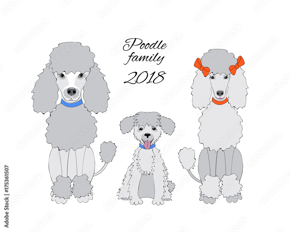 Funny new year card with poodle family