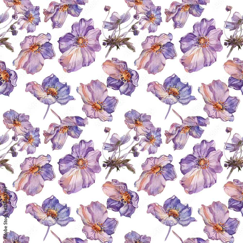 Fototapeta premium Phlox flowers hand drawn watercolor pattern