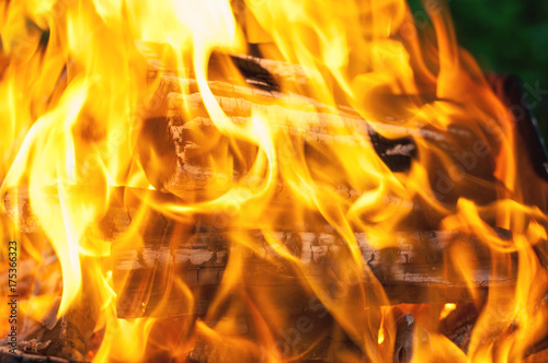 Close up view of burning firewood
