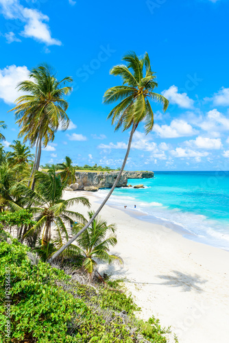 Fototapeta Naklejka Na Ścianę i Meble -  Bottom Bay, Barbados - Paradise beach on the Caribbean island of Barbados. Tropical coast with palms hanging over turquoise sea. Panoramic photo of beautiful landscape. 
