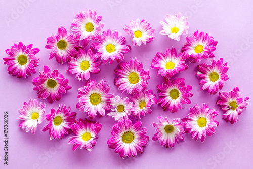 Floral pattern with pink flowers on purple background top view