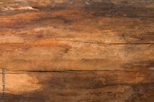 Brown natural wood texture closeup background