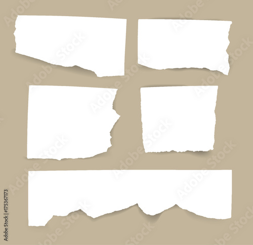 Set of blank Torn paper sheets. Vector note pieces collection with sticky tape.