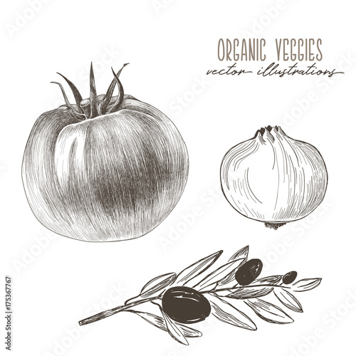 Tomato, onion, olives -organic vegetables drawing