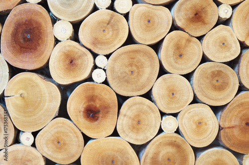 Pile of wood logs for background