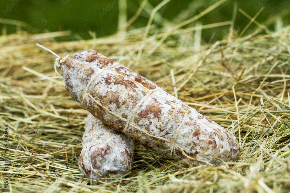 Obraz premium Salame nostrano