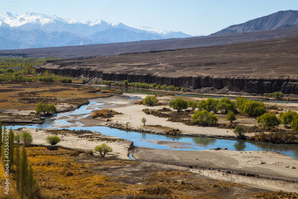 View of Ladakh scene forest with mountain background