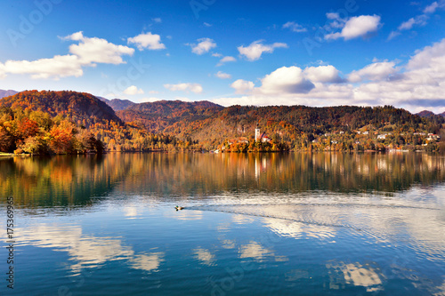 Colorful autumn on Bled lake, Slovenia