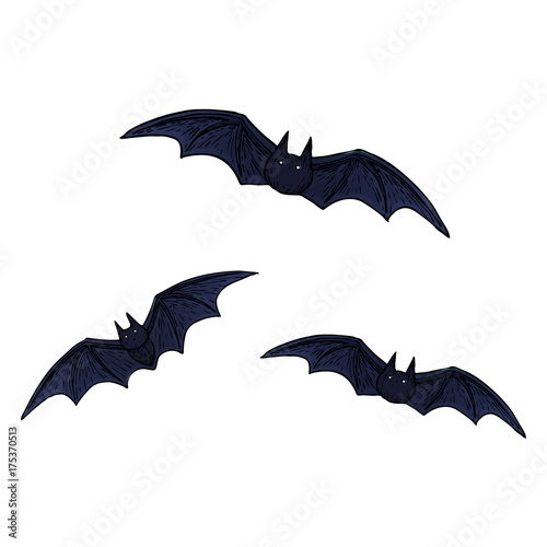 Flying bat, scary Halloween sketch illustration. Vector