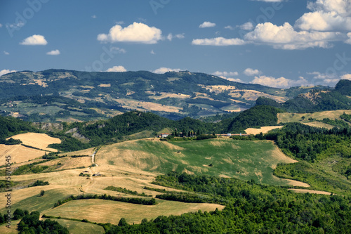 Landscape in Romagna at summer from Sogliano al Rubicone