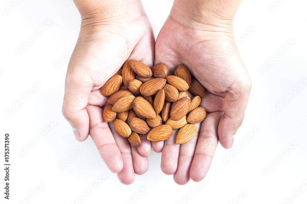 Almond seeds in hand woman Almond seeds in hand woman