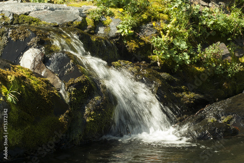 fast mountain stream with a small waterfall