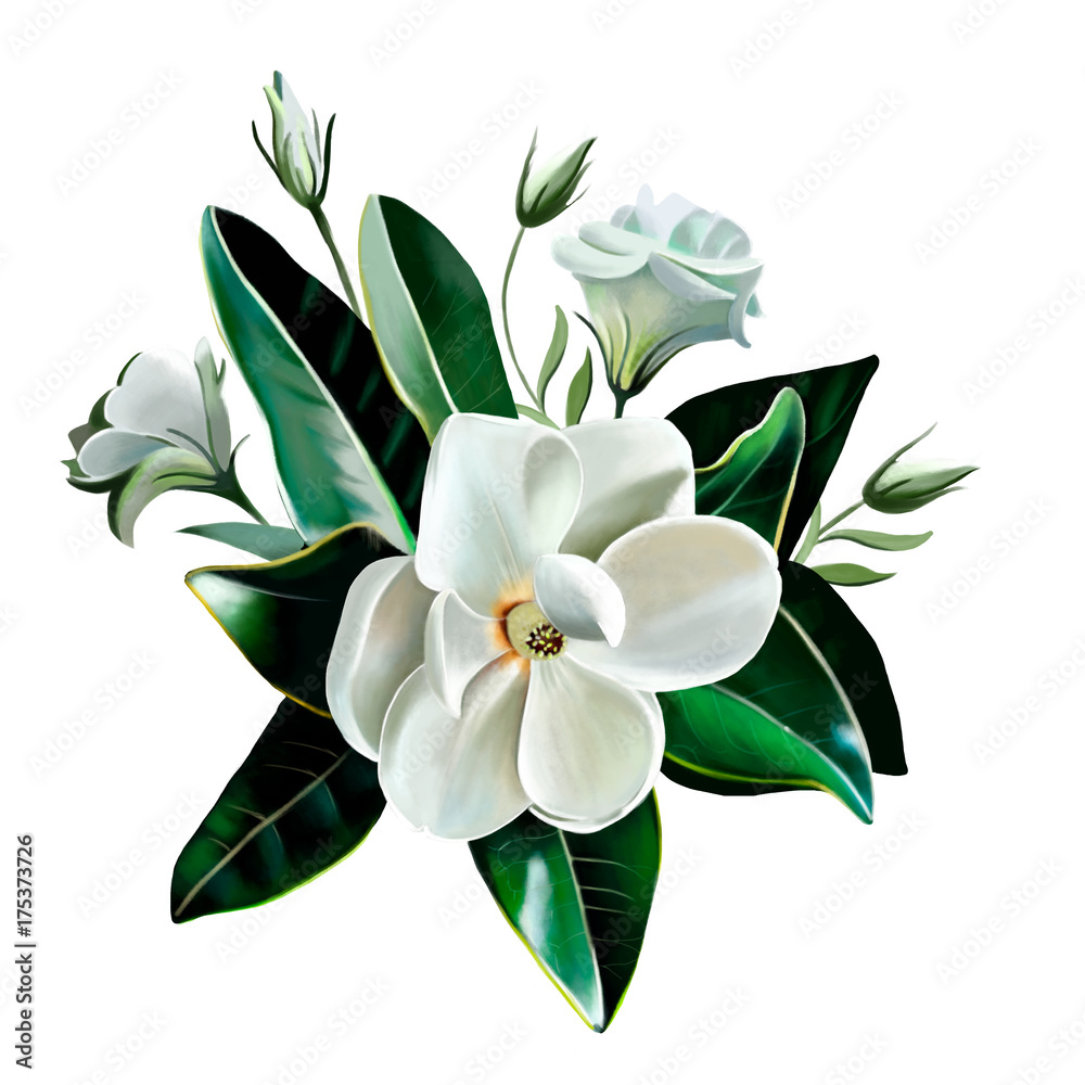 Obraz premium A Little Gem. White Magnolia close up with leaves and eustomas isolated on white background