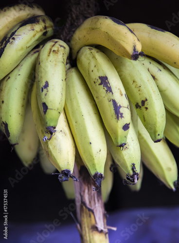 Green bananas