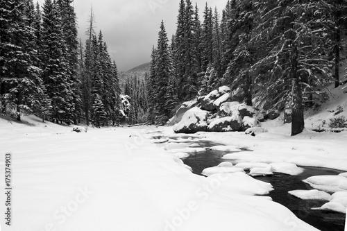 Snowy Landscape