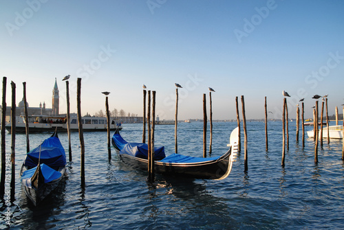 gondolas of Venice in italy © Philipimage