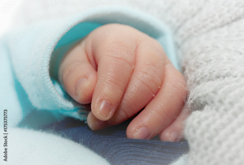 small hand of baby small hand of baby