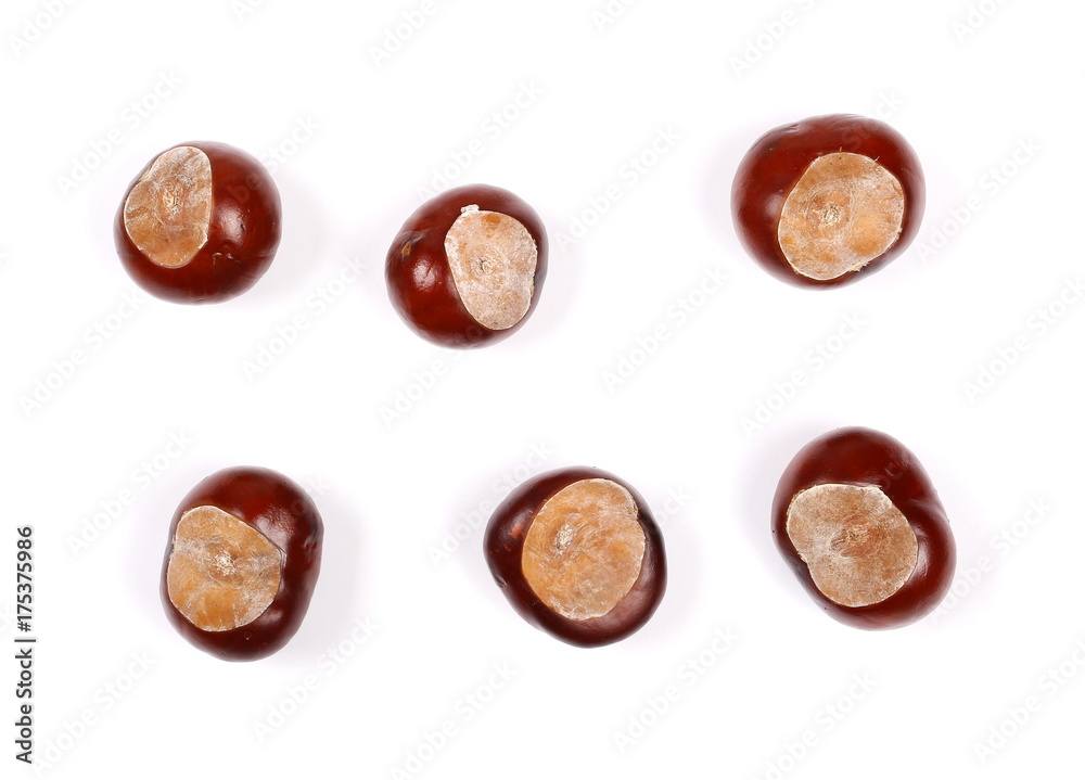 Brown chestnuts isolated on white background, top view Brown chestnuts isolated on white background, top view
