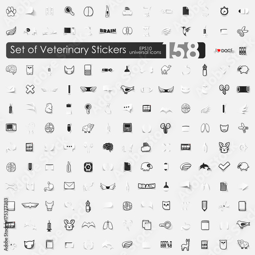 Set of veterinary stickers
